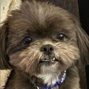 Meet your Posher, Margaret